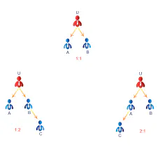 Binary MLM Software Plan - Software run gallery image