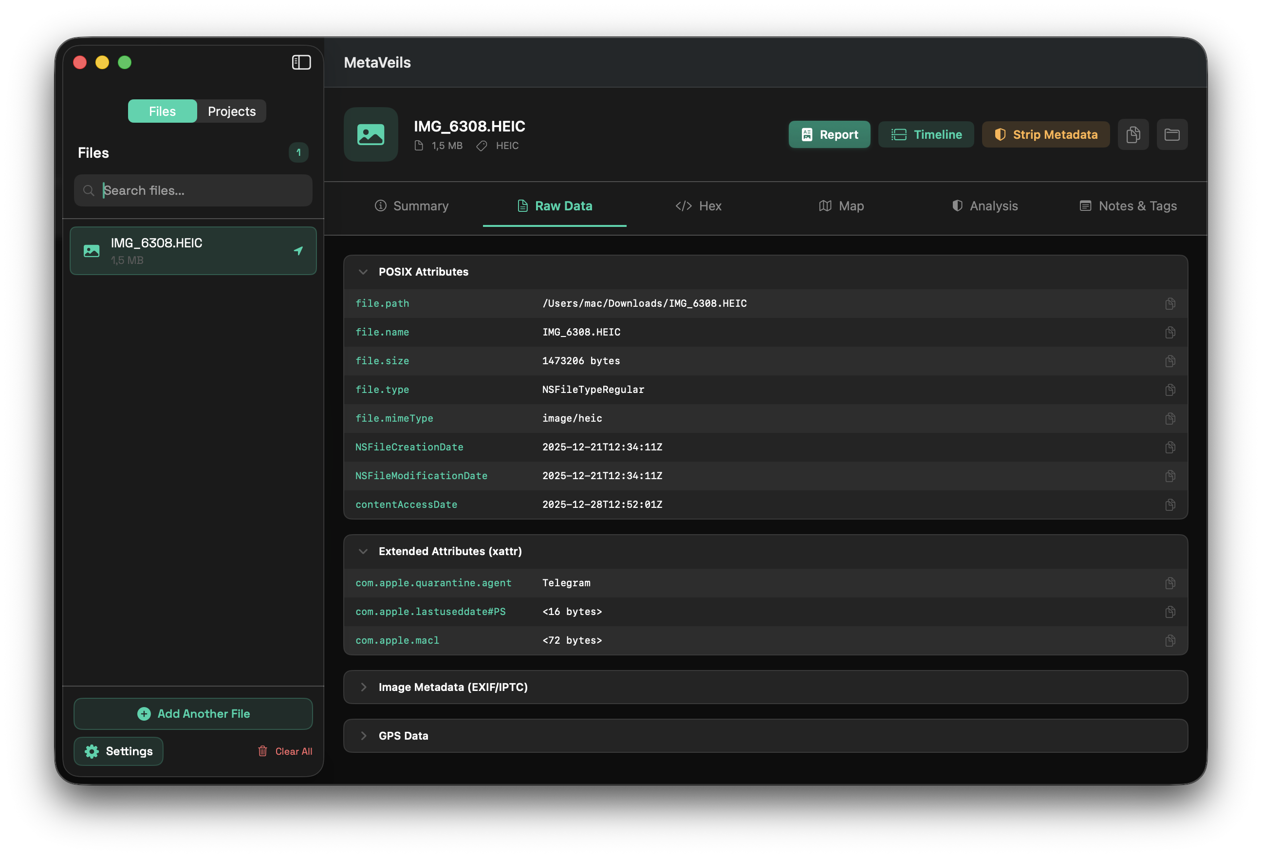 MetaVeils gallery image