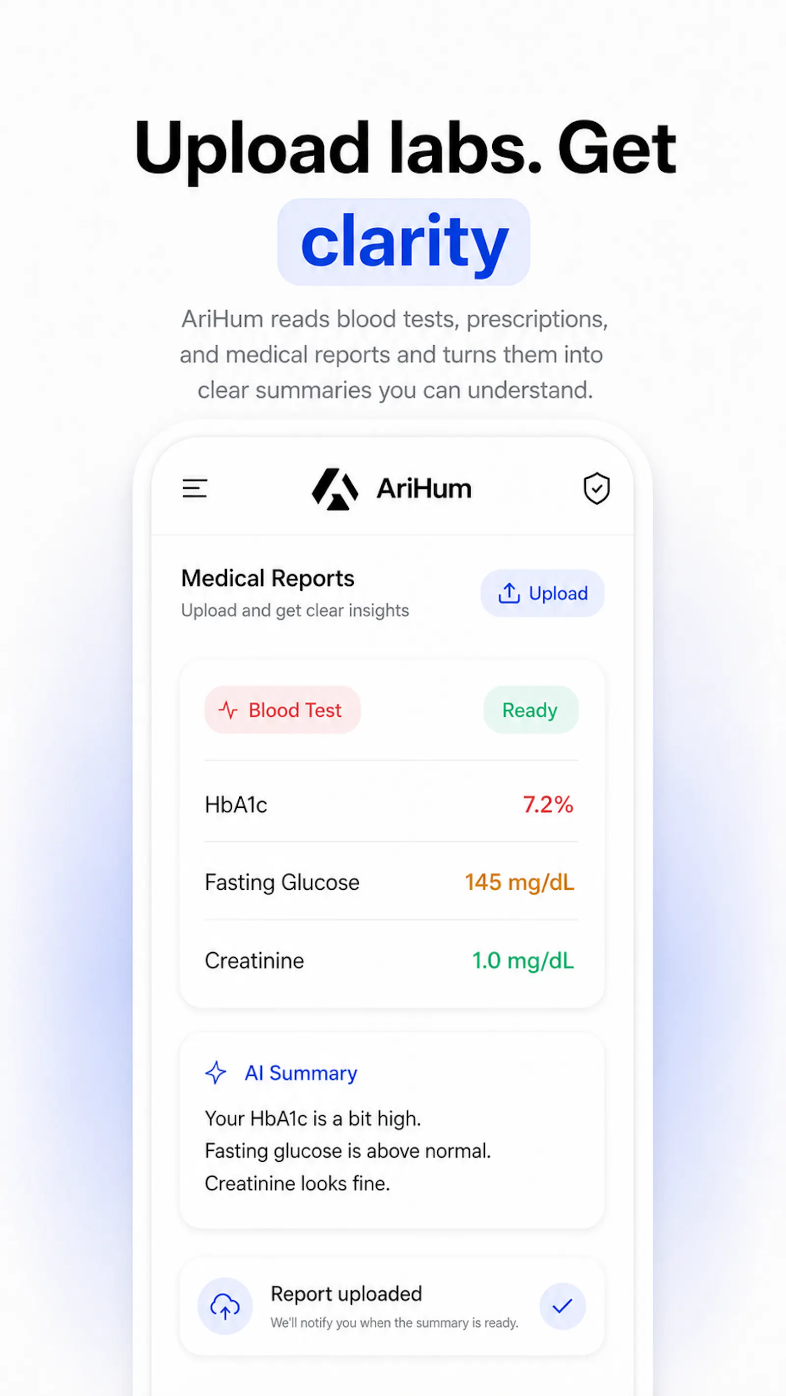 AriHum screenshot 5