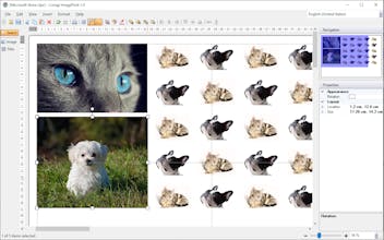 Coragi ImagePrint gallery image