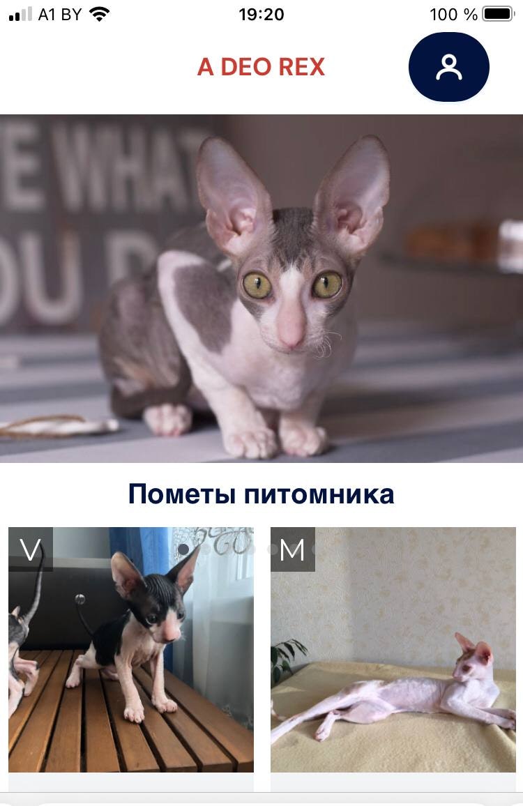 Breed Show gallery image