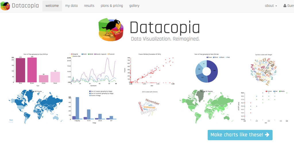 Datacopia gallery image