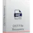 OST File Recovery Tool