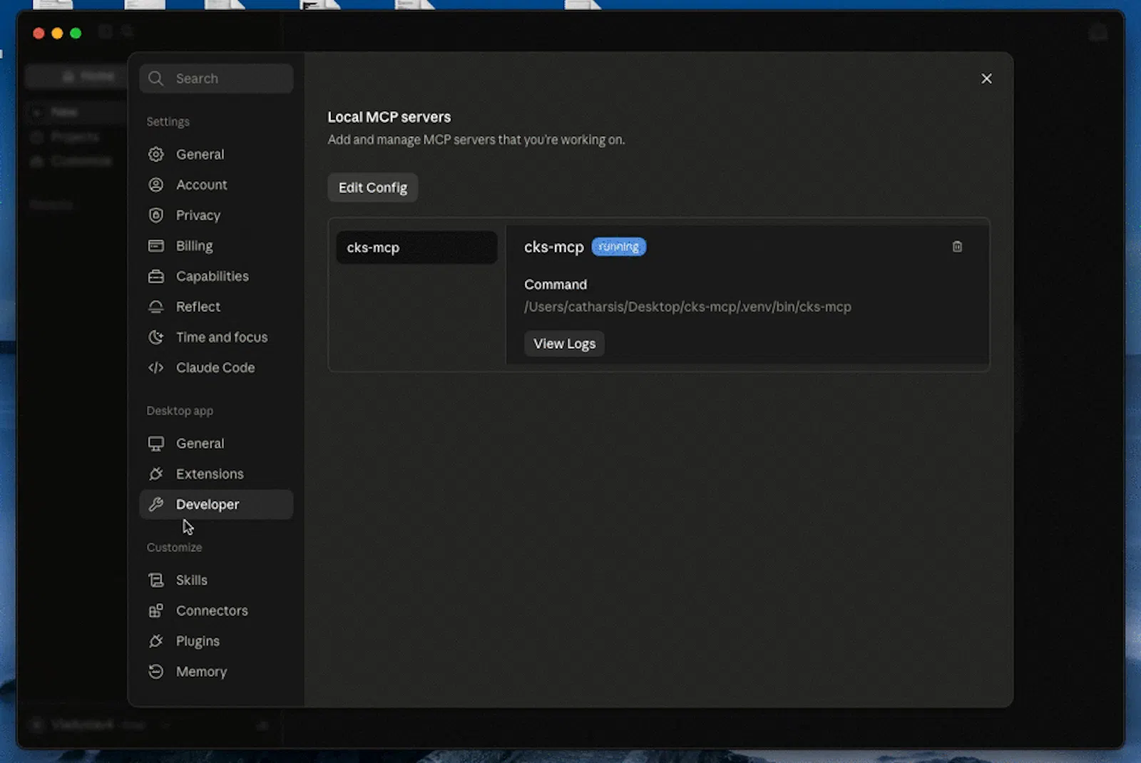 CKS MCP Server screenshot 1