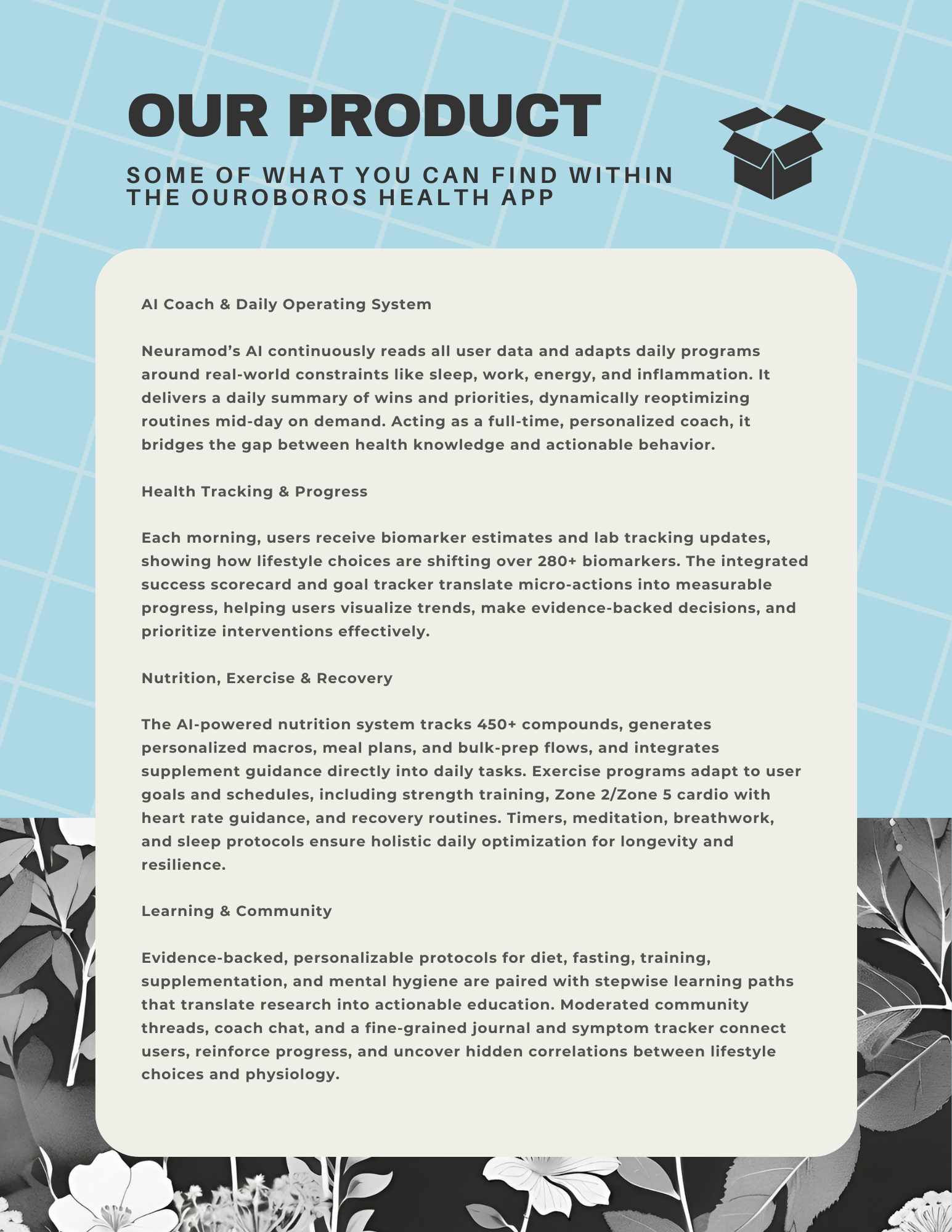 Ouroboros gallery image