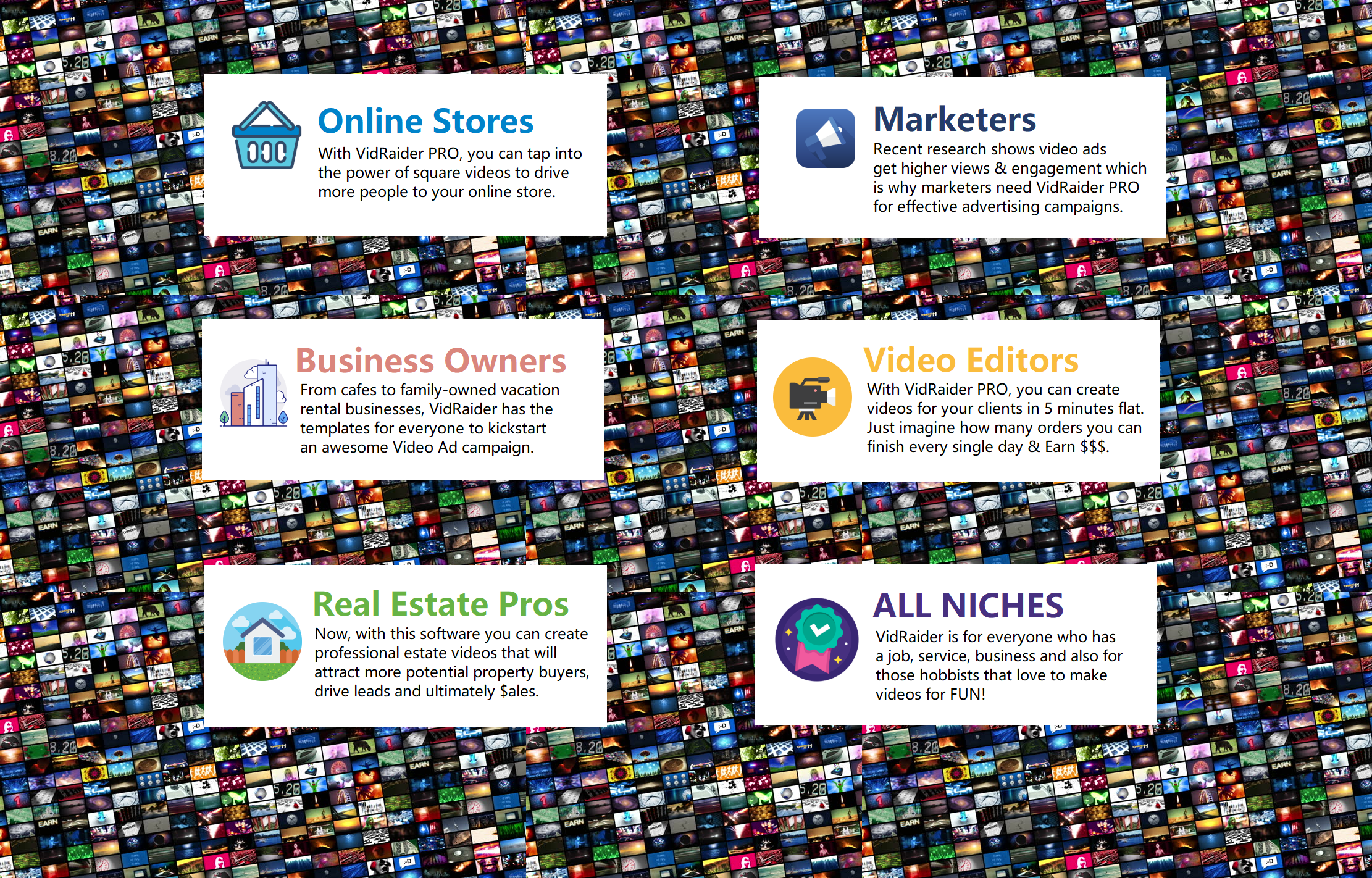 VidRaider gallery image