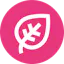 Leafe Rewards