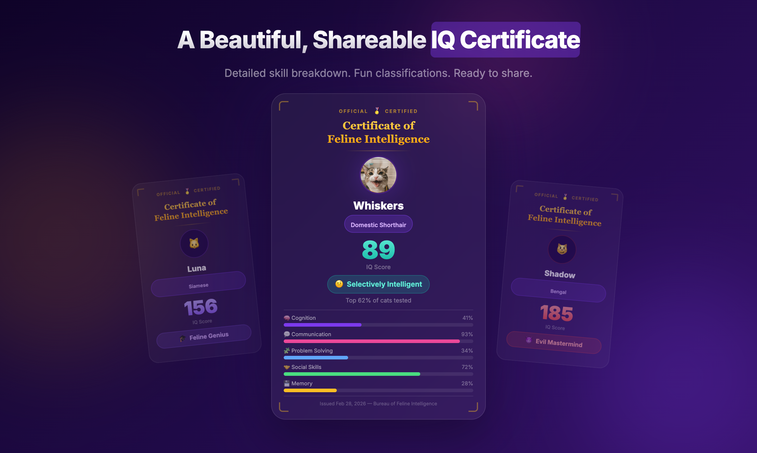 Cat IQ Test - Screenshot 3 showing product features and functionality