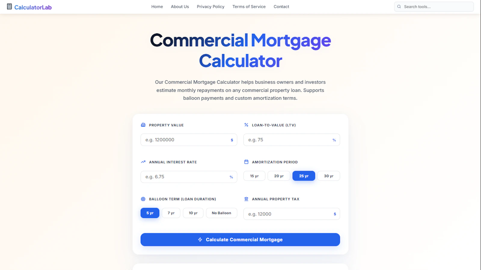 Commercial Mortgage Calculator screenshot 2