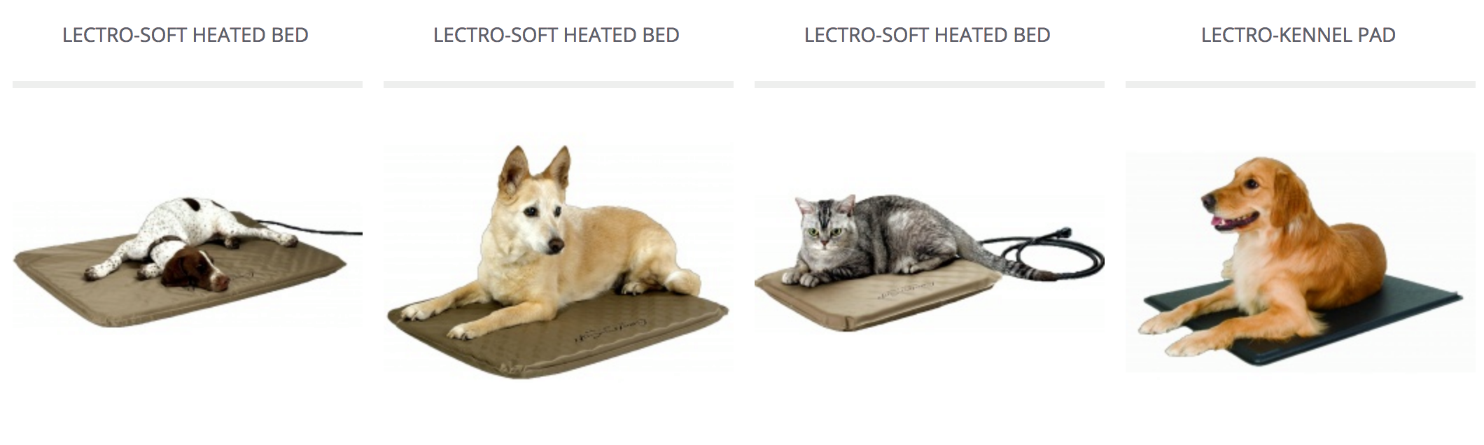 Able Pet Supplies gallery image