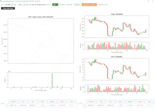 Crypto Options Monitor gallery image