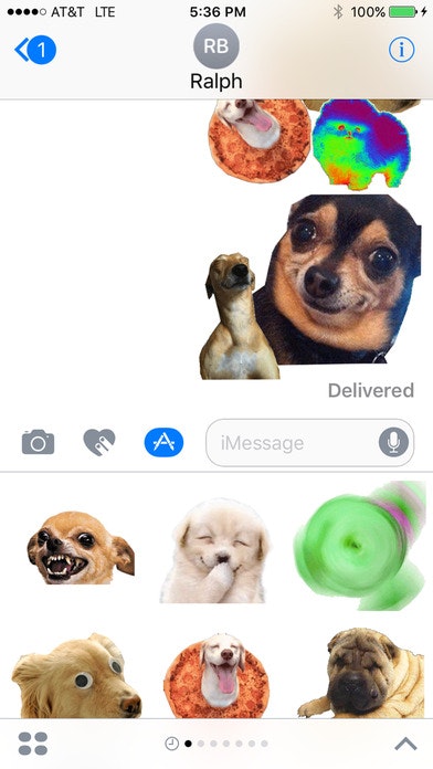 dogdings gallery image