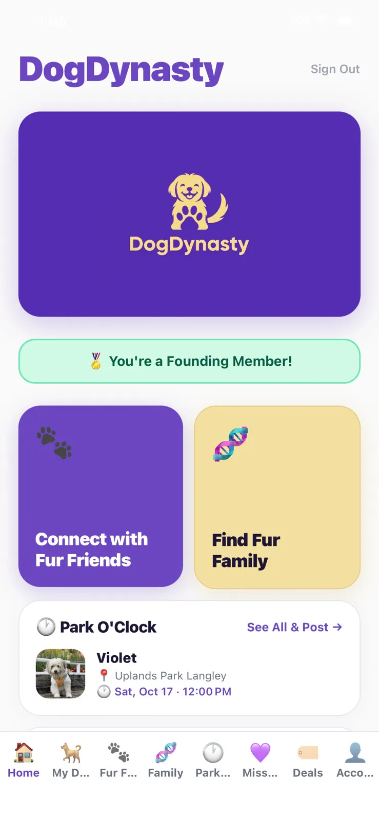DogDynasty gallery image