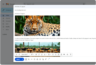 WriteWithPics gallery image