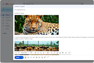 WriteWithPics gallery image