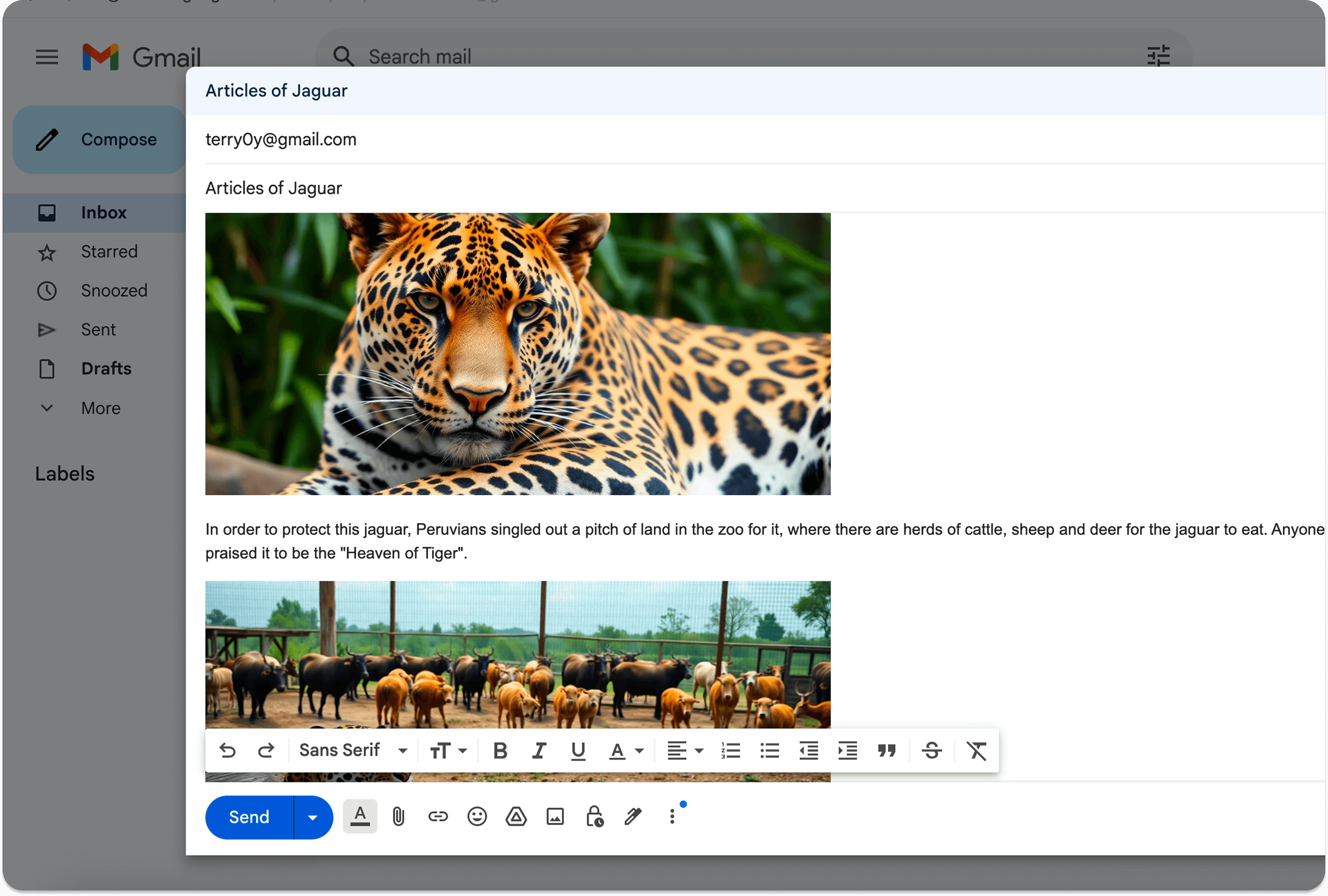 WriteWithPics media 7