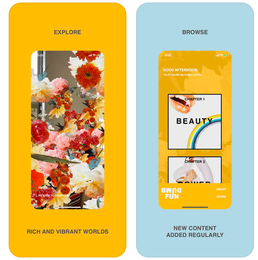 Dumb Fun gallery image