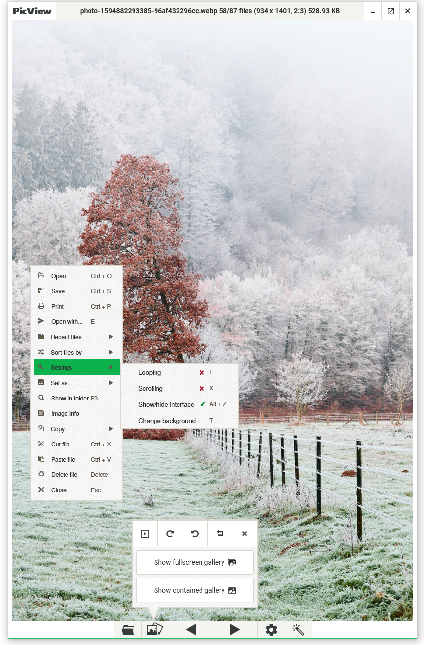 PicView gallery image