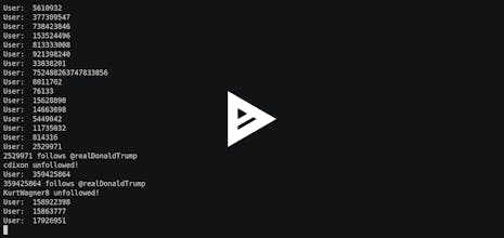 Trumpers gallery image