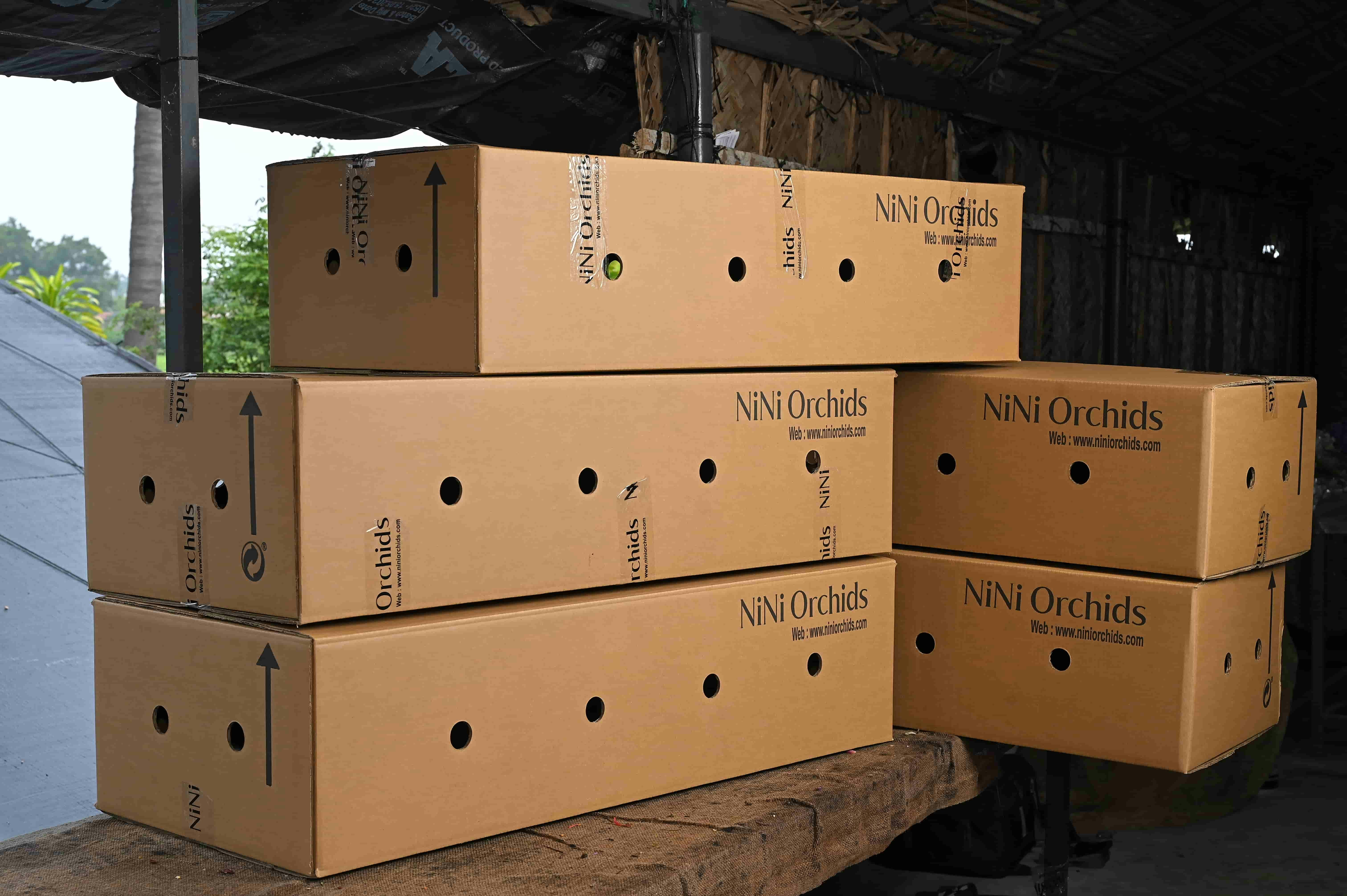 Nini Orchids gallery image