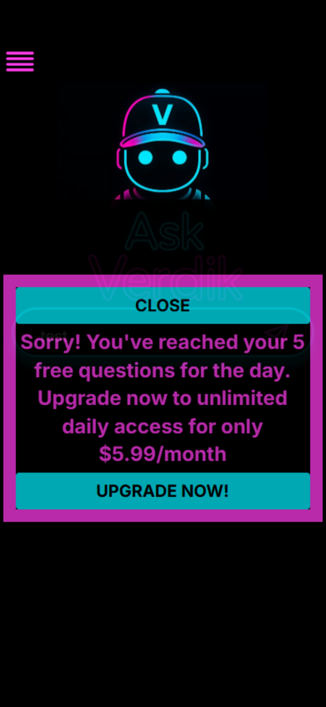 Ask Verdik AI gallery image