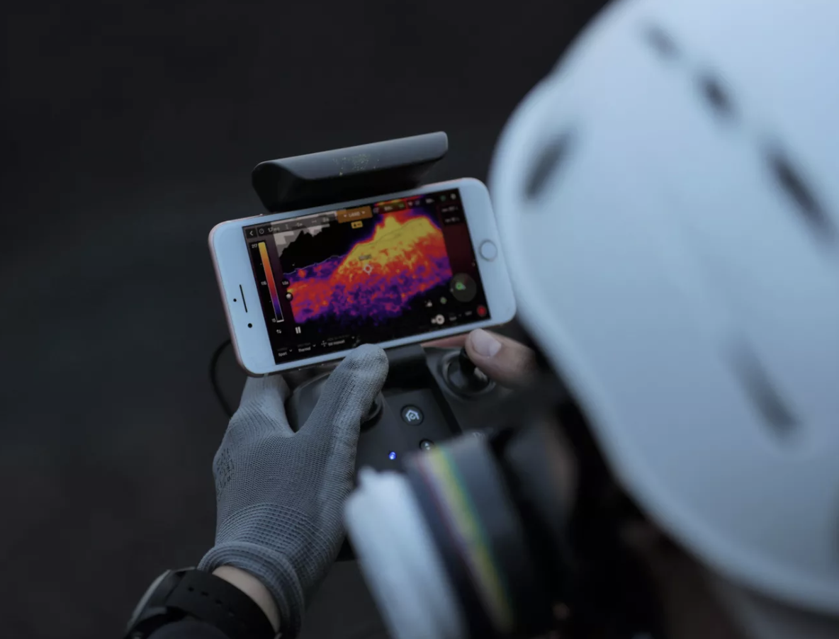 Parrot gallery image