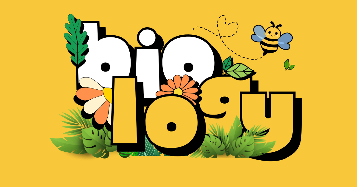 Nakafa gallery image