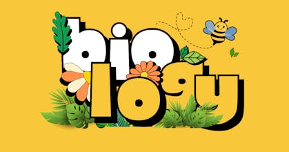 Nakafa gallery image