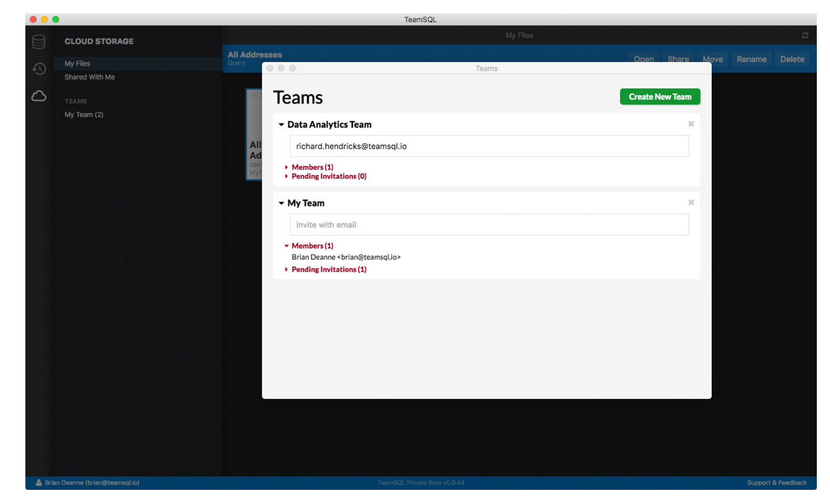 Team SQL gallery image