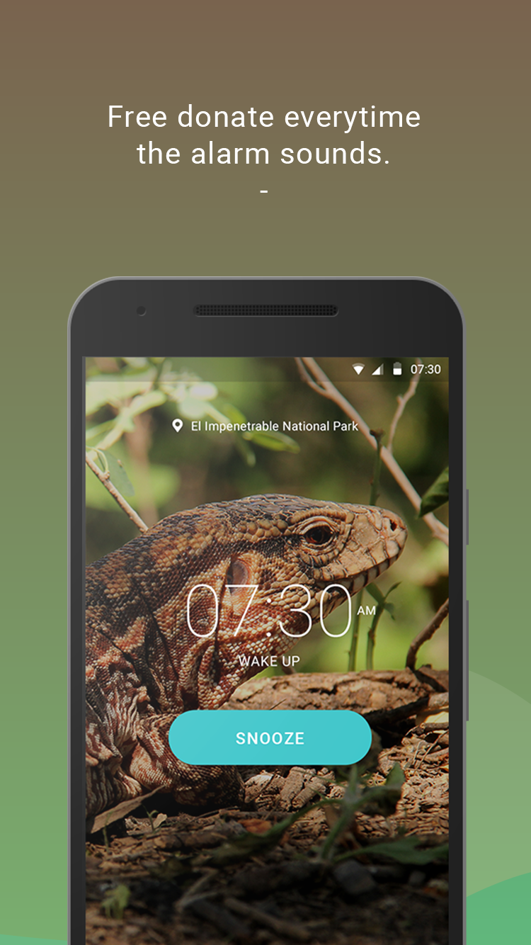 EcoAlarm gallery image