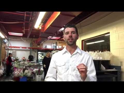 Ace Blooms gallery image