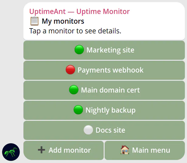 UptimeAnt gallery image