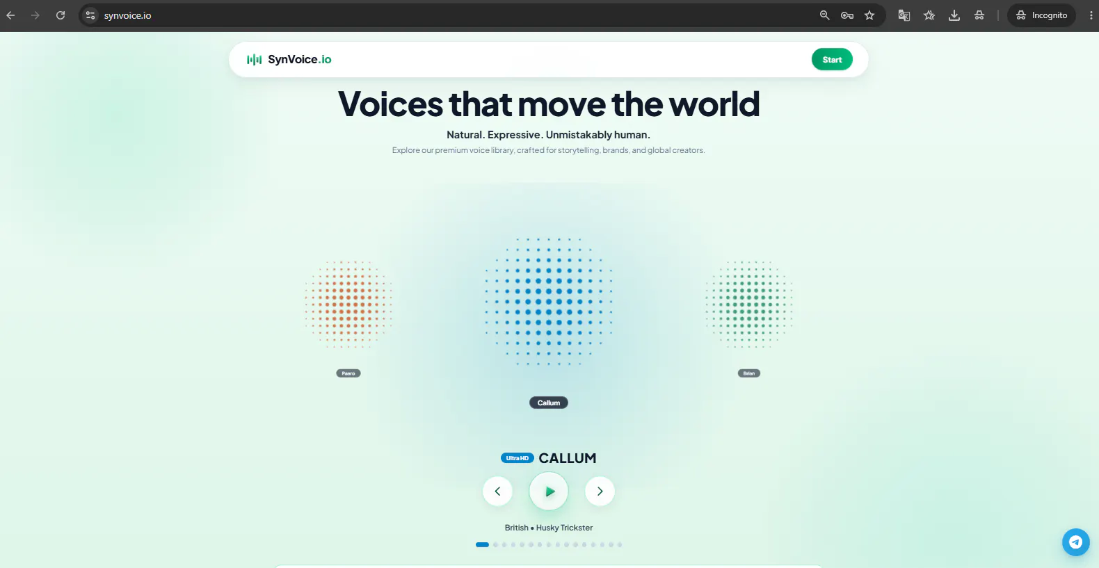 SynVoice.io gallery image