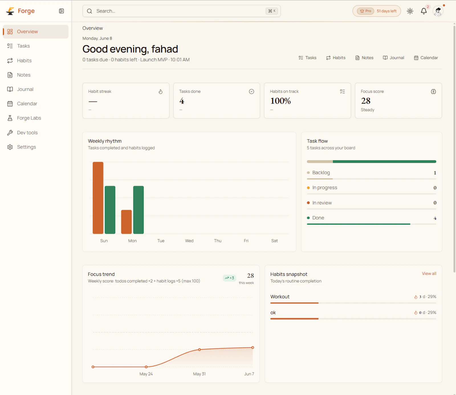 Forge screenshot 2