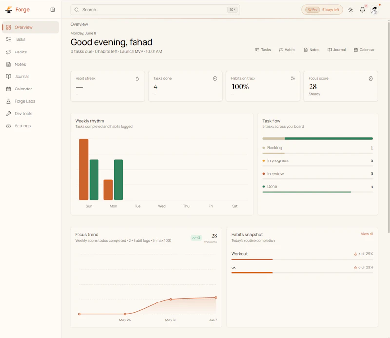 Forge screenshot 2