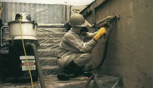 Mold Removal Company in NY