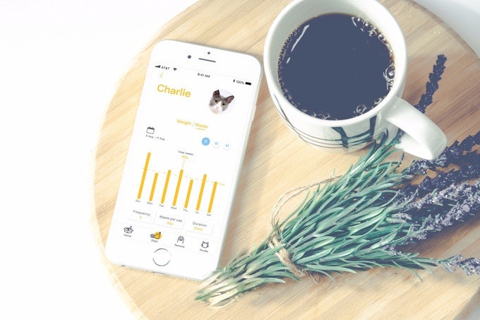 Footloose gallery image