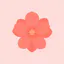 Daily Bloom