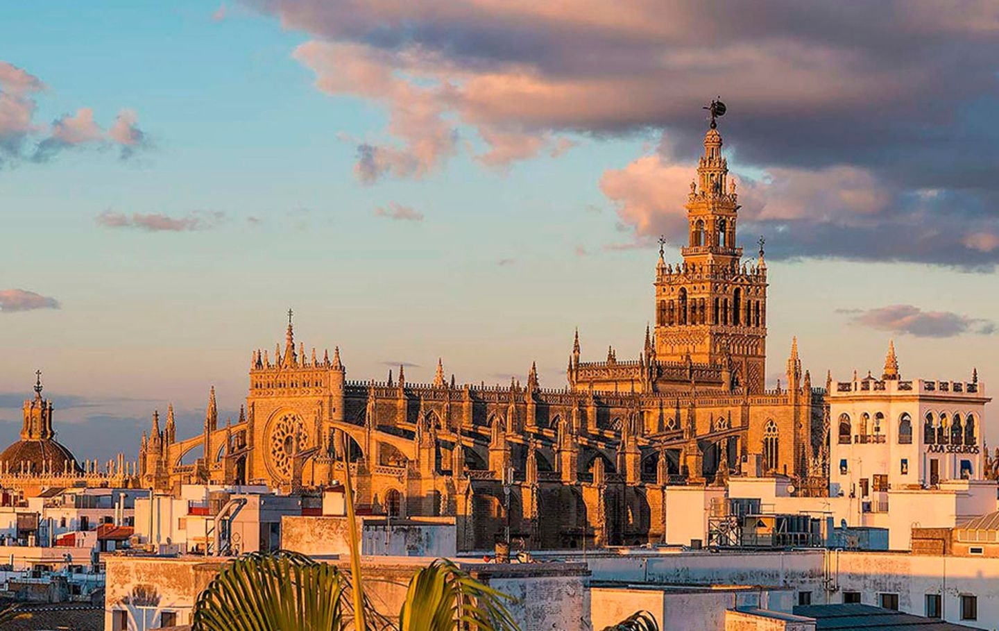 Historias interesantes para aprender español media 3
