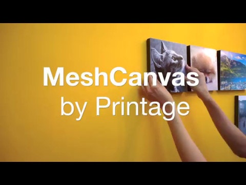 MeshCanvas gallery image