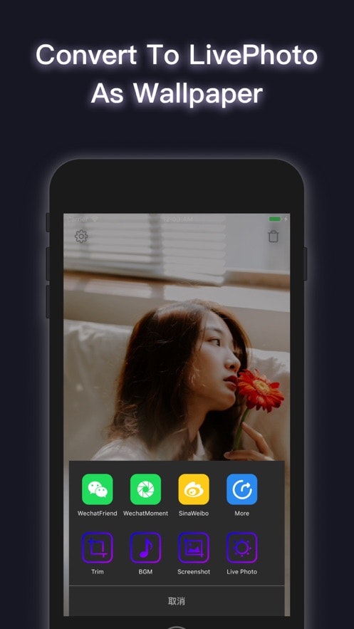 SlideVideo gallery image