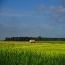 sunnypeaceisland.com