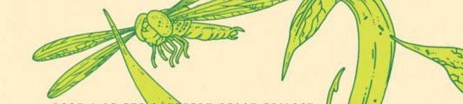 Annihilation: A Novel (The Southern Reach Trilogy) gallery image