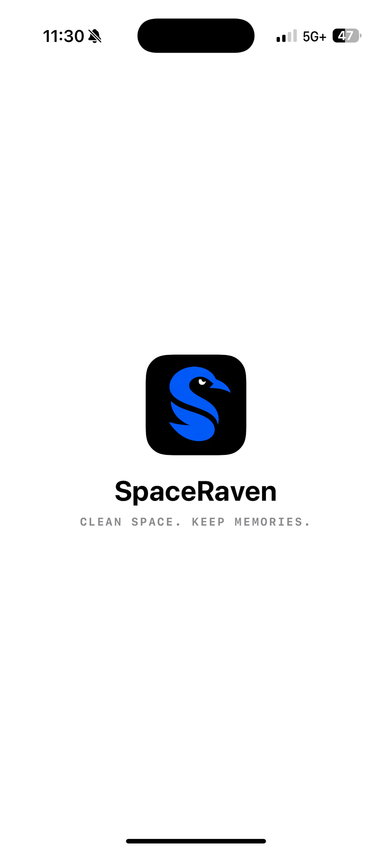 SpaceRaven: Storage Cleaner screenshot 1