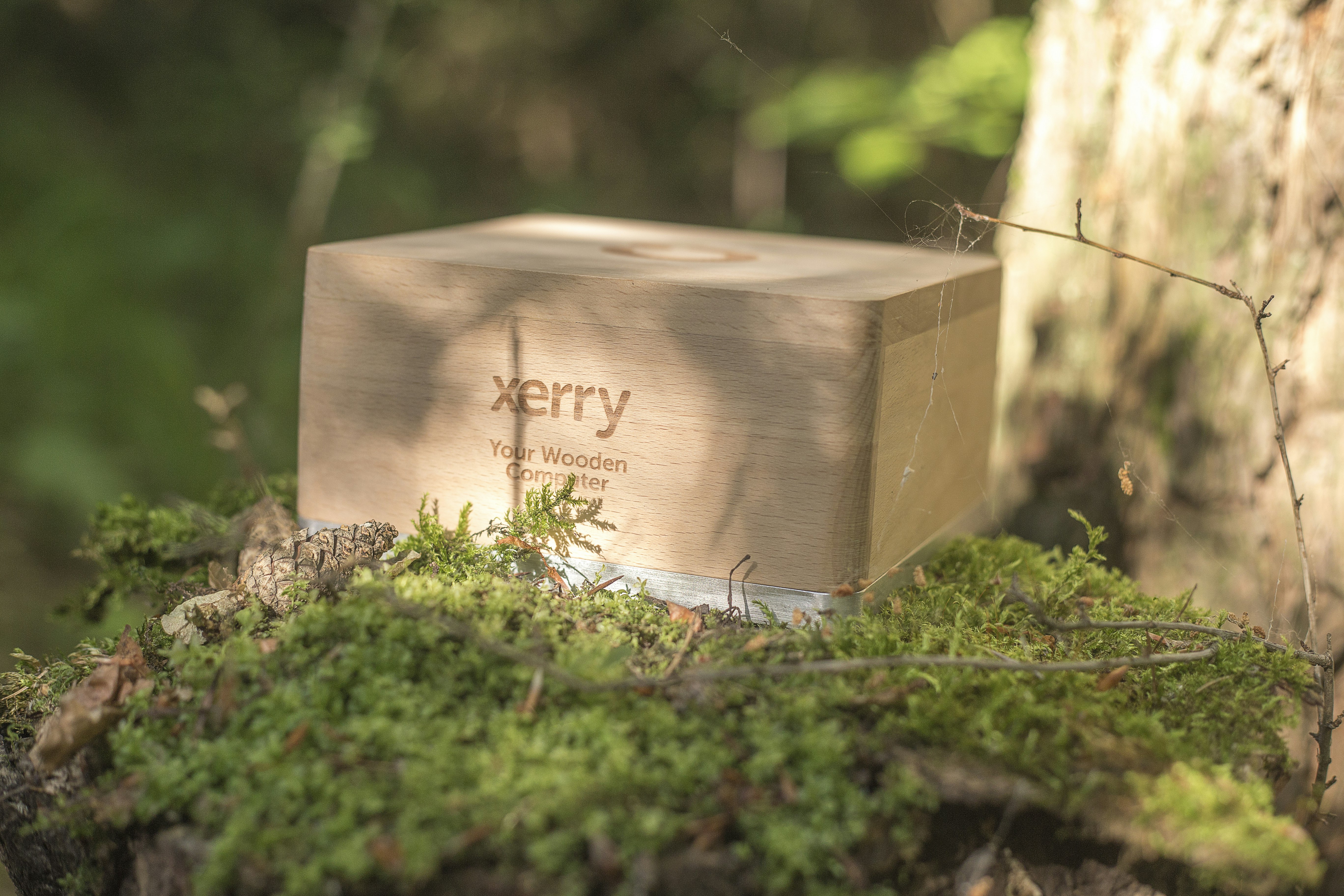 Xerry LU gallery image