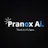 Pranox AI