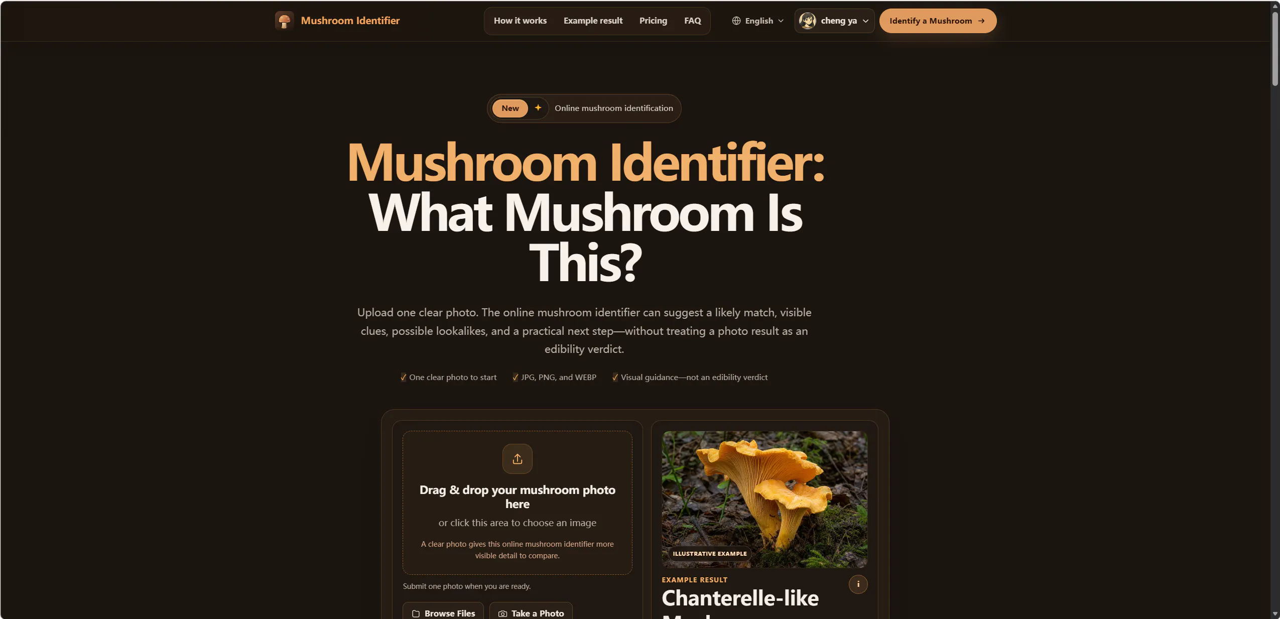 Mushroom Identifier gallery image