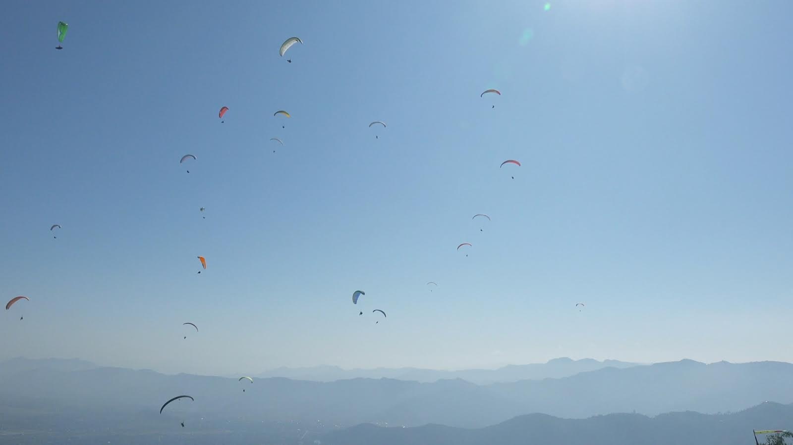 Nouncy gallery image