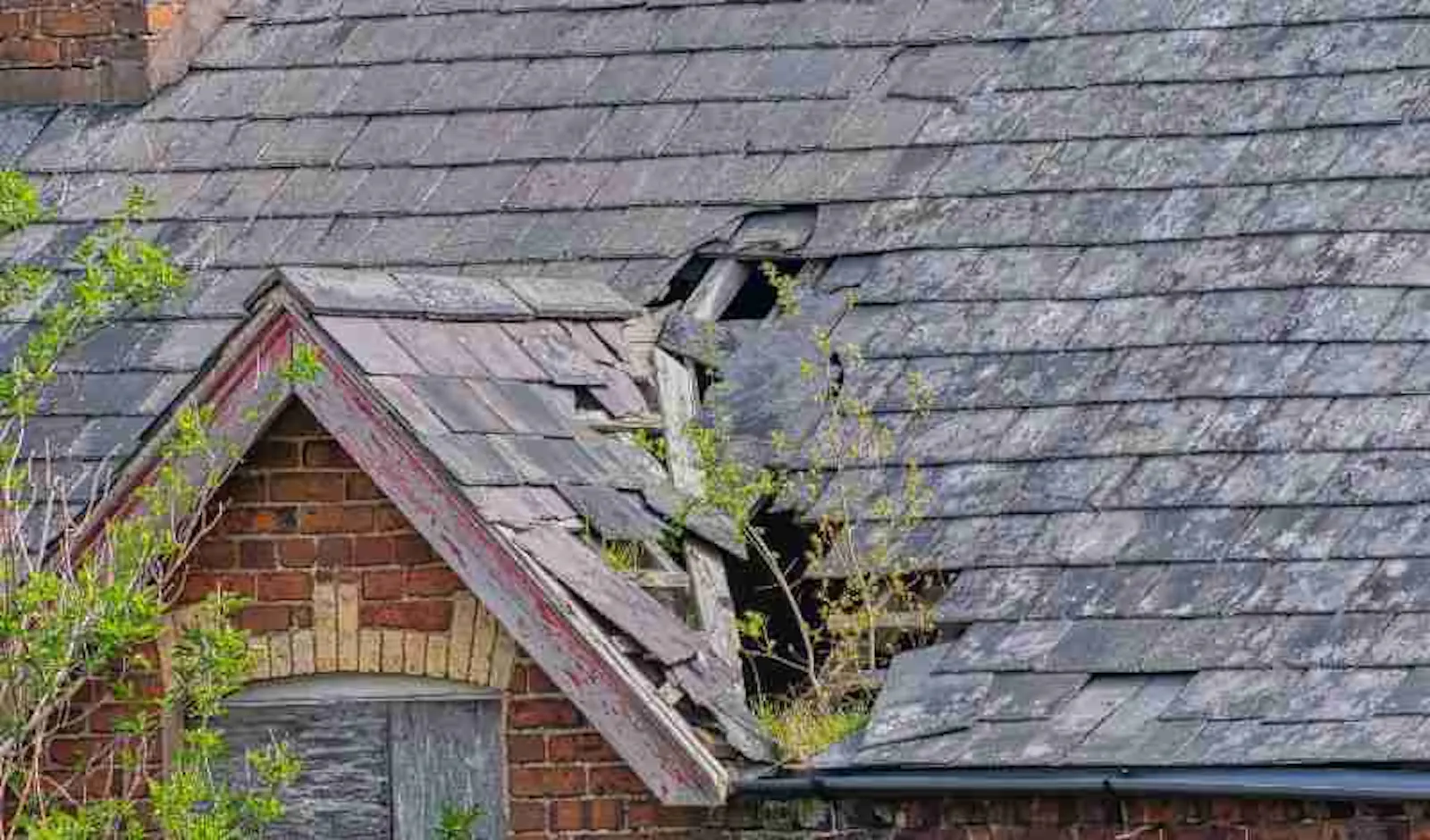 Elite Gold Roofing screenshot 4