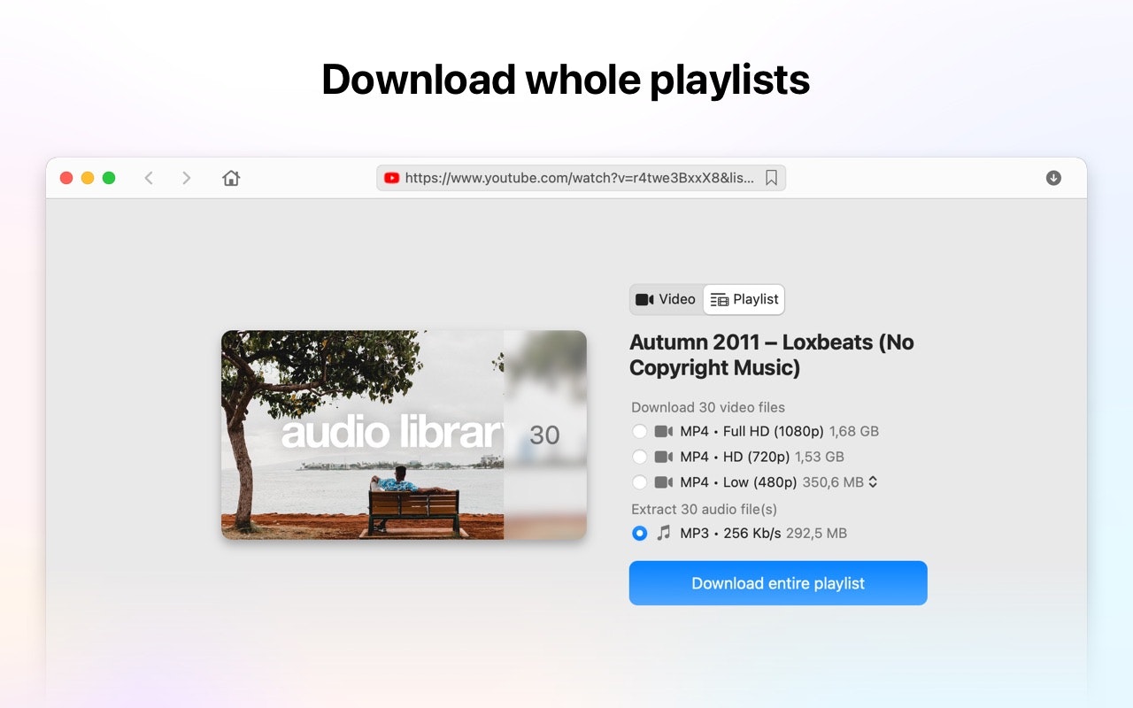 VideoDuke 2.0 gallery image